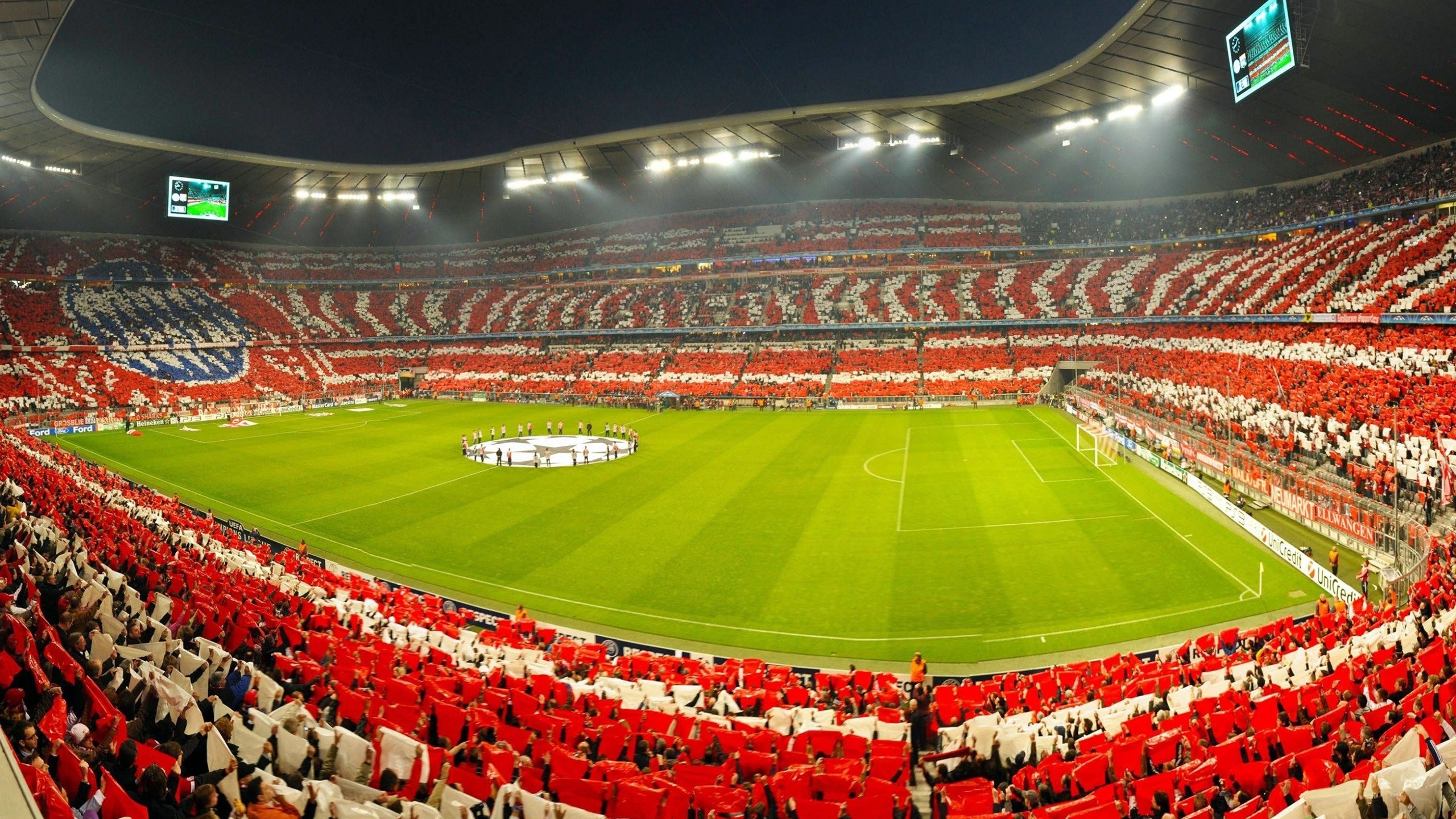 圣卢西亚养老长跑展现活力，圣卢西亚属于哪个洲