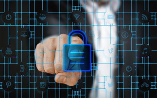 mk体育电脑版下载-体育赛事风控体系强化,保障赛事顺利进行,体育赛事风险的处理方法